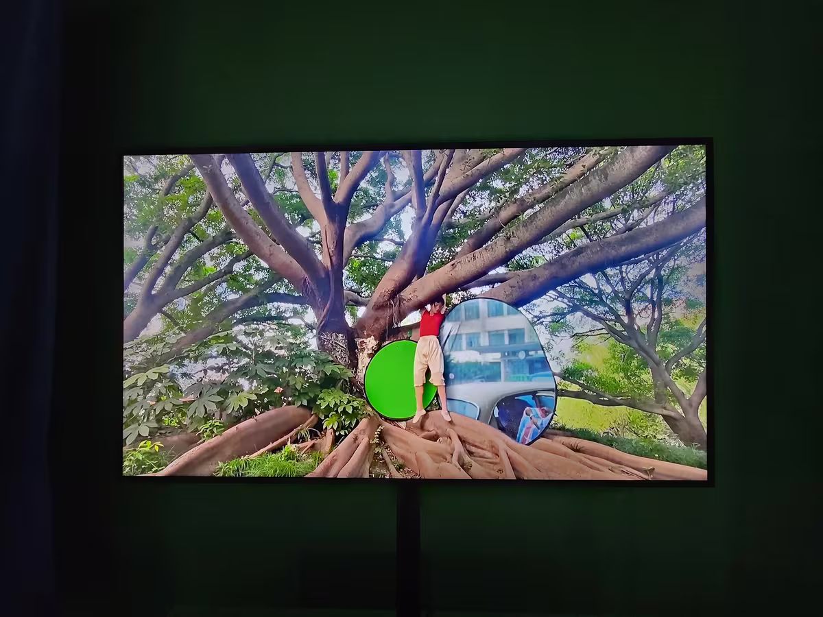 Grüner Aufnahmeraum mit zwei Bildschirmen und Ringlicht, auf einem Schirm eine Landschaft mit Baum als Greenscreen-Komposition.