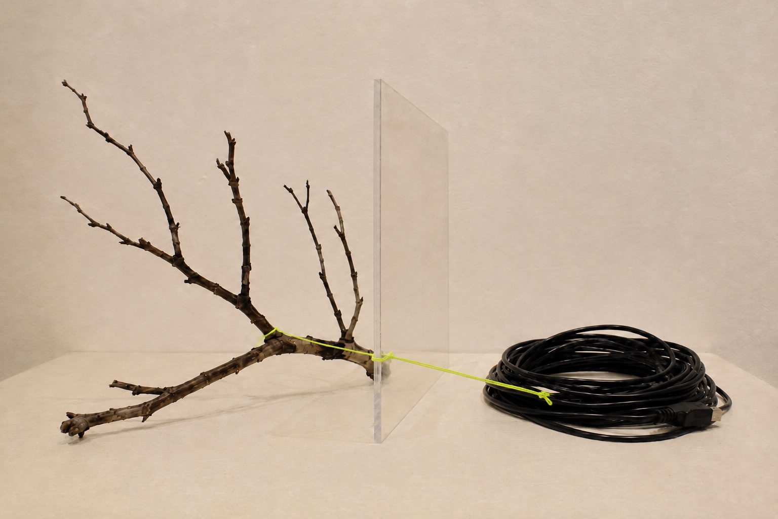 Ein acidfarbener Faden verbindet Ast und Kabel über eine transparente Fläche