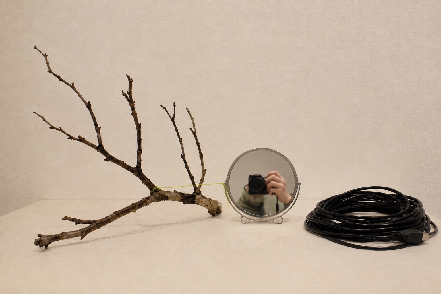 Ein runder Spiegel steht zwischen Ast und Kabel und reflektiert den Aufnahmeapparat